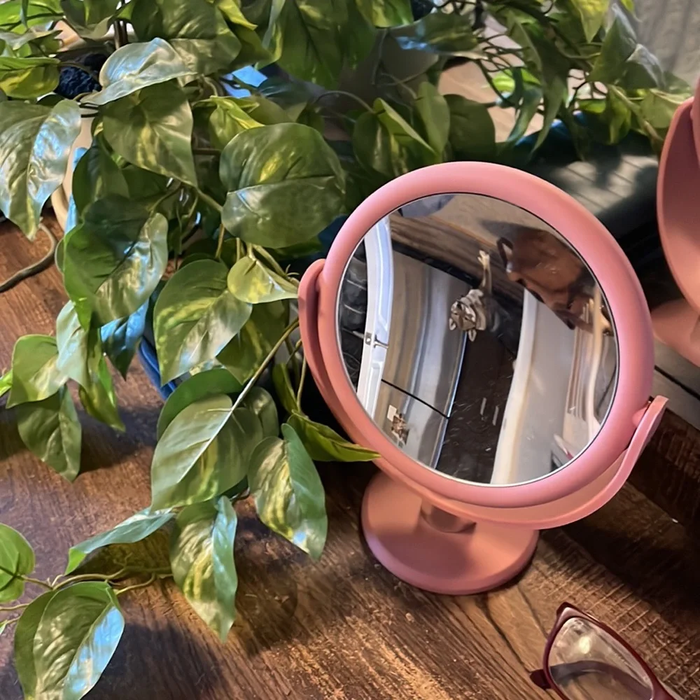 small double sided mirror